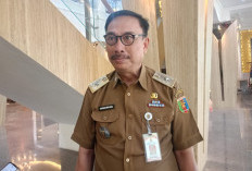 Pemprov Lampung Siapkan Strategi Agresif Tarik Investor pada 2026