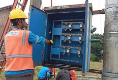 Maling Potong Kabel Trafo, Listrik di Palas Sempat Padam