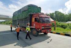 Seharian Razia, Cuma Jaring 18 ODOL