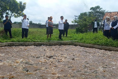   Pemkot Metro Konsepkan Budi Daya Ikan Lele di Setiap Kelurahan