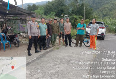  Beruang Madu di Tumpukan Sampah Bikin Geger