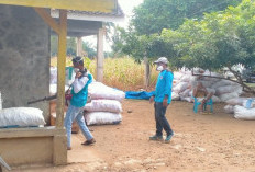 Puskesmas Gunung Labuhan Lakukan Fogging Cegah DBD di Kampung Gunung Sari