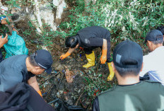 Pemprov Lampung dan Pemkot Bandar Lampung Gelar Gerakan Bersih-Bersih Serentak di Pulau Pasaran