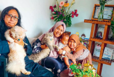 Memelihara Kucing di tengah Kehadiran Balita, Jadi Penghilang Stres hingga Teman Bayi