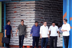 Bulog Khawatirkan Stok Beras Defisit 3 Juta Ton Awal 2025