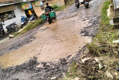 Jalan Baradatu-Banjit Waykanan Rusak Parah, Warga Desak Perbaikan 
