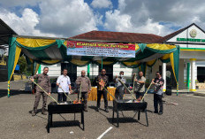 Kejari Waykanan Musnahkan Barang Bukti 32 Perkara 