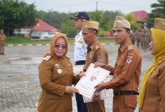 165 PNS Mesuji Naik Pangkat, Begini Pesan Bupati 