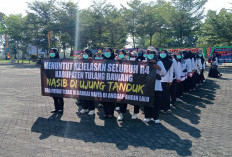 Ratusan Honorer Nakes dan Guru di Tulangbawang Ngeluruk Kantor Bupati, Pertanyakan Kejelasan Status
