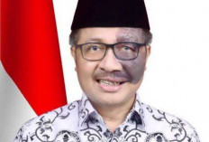 DPD RI Minta Usulan Pemilihan Gubernur oleh DPRD Dipertimbangkan Matang, Jangan Terburu-buru