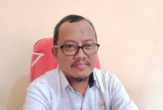 Hingga Februari, Tercatat Tiga Kasus Kekerasan Seksual pada Anak di Lampung Barat 