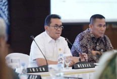  Jepang Diajak Perluas Investasi di Sektor Perdagangan