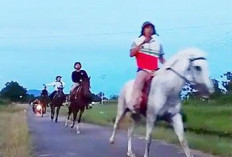 Pordasi Lampung Bidik Kotabaru untuk Pusat Latihan dan Sport Tourism Berkuda