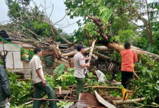 Bencana Lampung Telan 10 Korban Jiwa, BPBD Lampung Siapkan OMC Bersama BNPB