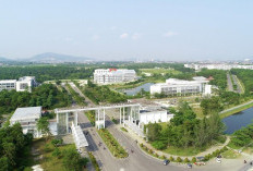 Pilrek Itera Minim Peminat