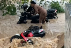  Basemen Pemkab Pesisir Barat Terendam Banjir, Kendaraan Terjebak