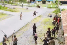 Komnas HAM Desak Hadirnya Dua Paslon untuk Redam Konflik Pilkada Puncak Jaya