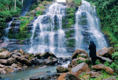 Air Terjun Mbah Gimo: Surga Tersembunyi di Lampung Barat di Balik Kebun Kopi