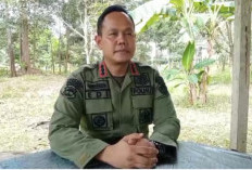KPH Sungai Buaya Pastikan Jejak Kaki di Register 45 Bukan Harimau 