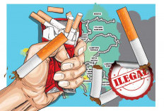Rokok Ilegal Masih Marak di Lampung, Kinerja Bea Cukai dan APH Dipertanyakan