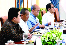 Danantara Masuk Proyek Baterai Listrik Huayou dan CATL