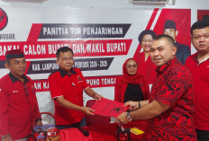 Daftar Balon Bupati, Ketua 'Banteng' PDIP Lampung Tengah Terpanggil Bangun Daerah