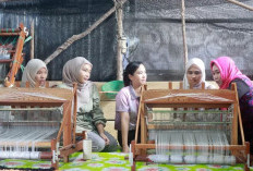  Inovasi Serat Nanas Dinilai Lebih Ramah Lingkungan
