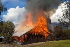 KKB Bunuh 6 Guru di Yahukimo Papua, TPNPB Klaim Tindakannya Sebagai Respon Pernyataan Panglima TNI