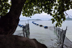 Tak Kantongi Izin, Jaring Laut J.W. Marriott Wajib Dibongkar