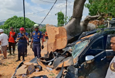 Hotel Holiday Inn Makan Korban