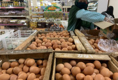 Telur Ayam Ras Jadi Penyumbang Utama Inflasi Maret 2024