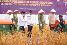 Lampung Lumbung Pangan Nasional!