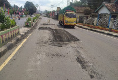 Membahayakan Pengendara, Warga Tanggamus Minta Lubang di Jalinbar Segera Diaspal