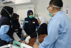 Stres Akut dan Gangguan Penyesuaian Dominasi Kasus Kesehatan Jemaah Haji Indonesia di Madinah