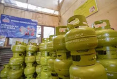  LPG Satu Harga Mulai 2026 