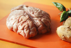  Manfaat Otak Sapi untuk MPASI