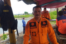 Pascahujan Deras, 5 Kecamatan di Bandarlampung Dilanda Bencana Alam, Termasuk Tanah Longsor dan Pohon Tumbang