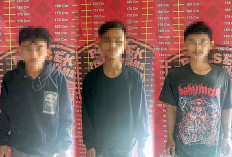Tiga Pemuda di Tuba Curi Kabel Listrik, Ditangkap Polisi Saat Akan Menjual