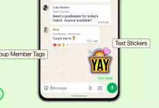 WhatsApp Tambah 3 Fitur Baru di Grup Chat