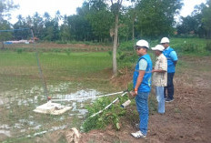  PLN Dukung Program Electrifying Agriculture