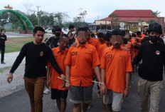 Selama 12 Hari, Polres Pringsewu Lampung 'Sikat' 15 Pelaku Tindak Pidana