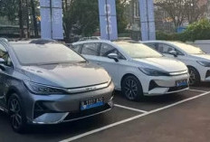  Pajak Mobil Listrik Lebih Murah  dari Mobil Konvensional 