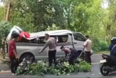    5 WN Tiongkok Tewas Kecelakaan di Bali 