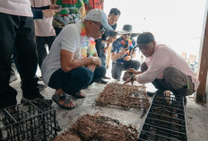 Panen Mutiara, Mirza Dorong Lampung Menjadi Pusat Pariwisata Kelautan
