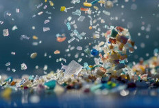  Waspada Bahaya Mikroplastik bagi Kesehatan!