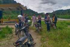  Dua Kapolsek Bersama Tim Gabungan Pantau Pergerakan Gajah Liar di Sebrang Sungai Semaka Tanggamus