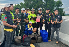 Puluhan Ribu Pil Ekstasi Ditemukan Didalam Mobil Tak Bertuan  di Tol Bakter