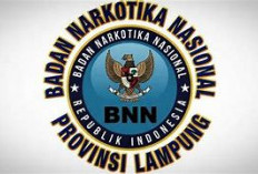 BNNP Lampung Bantah MY Honorer BNNK