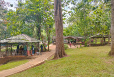 Wira Garden, Sensasi Liburan Alam di Tengah Sejuknya Batu Putuk