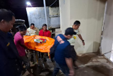 Wanita Muda di Lampura Diduga Tewas di Bunuh di Kebun Singkong 